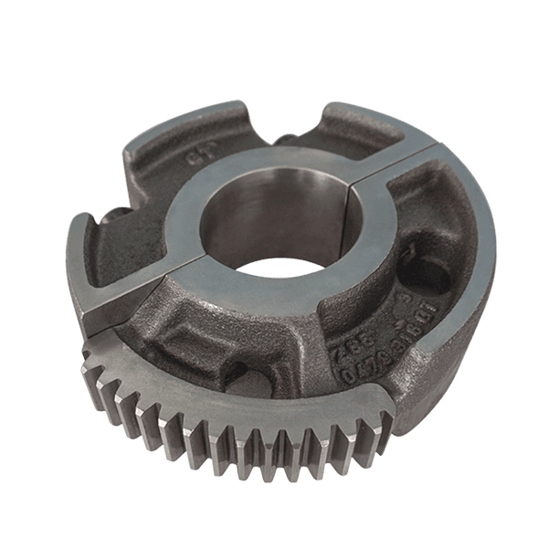 Toothed Segment