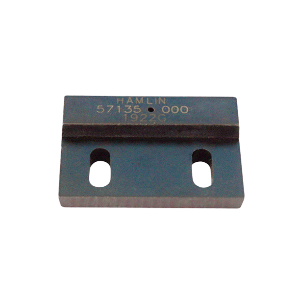 Magnet