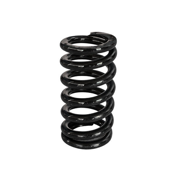 Pressure Spring 4X21